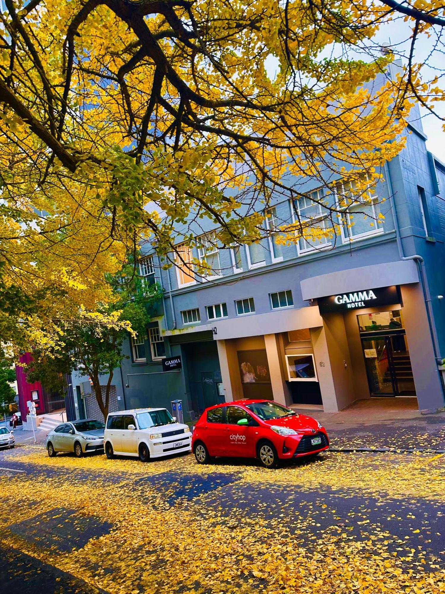 Gamma Hotel Auckland Eksteriør billede