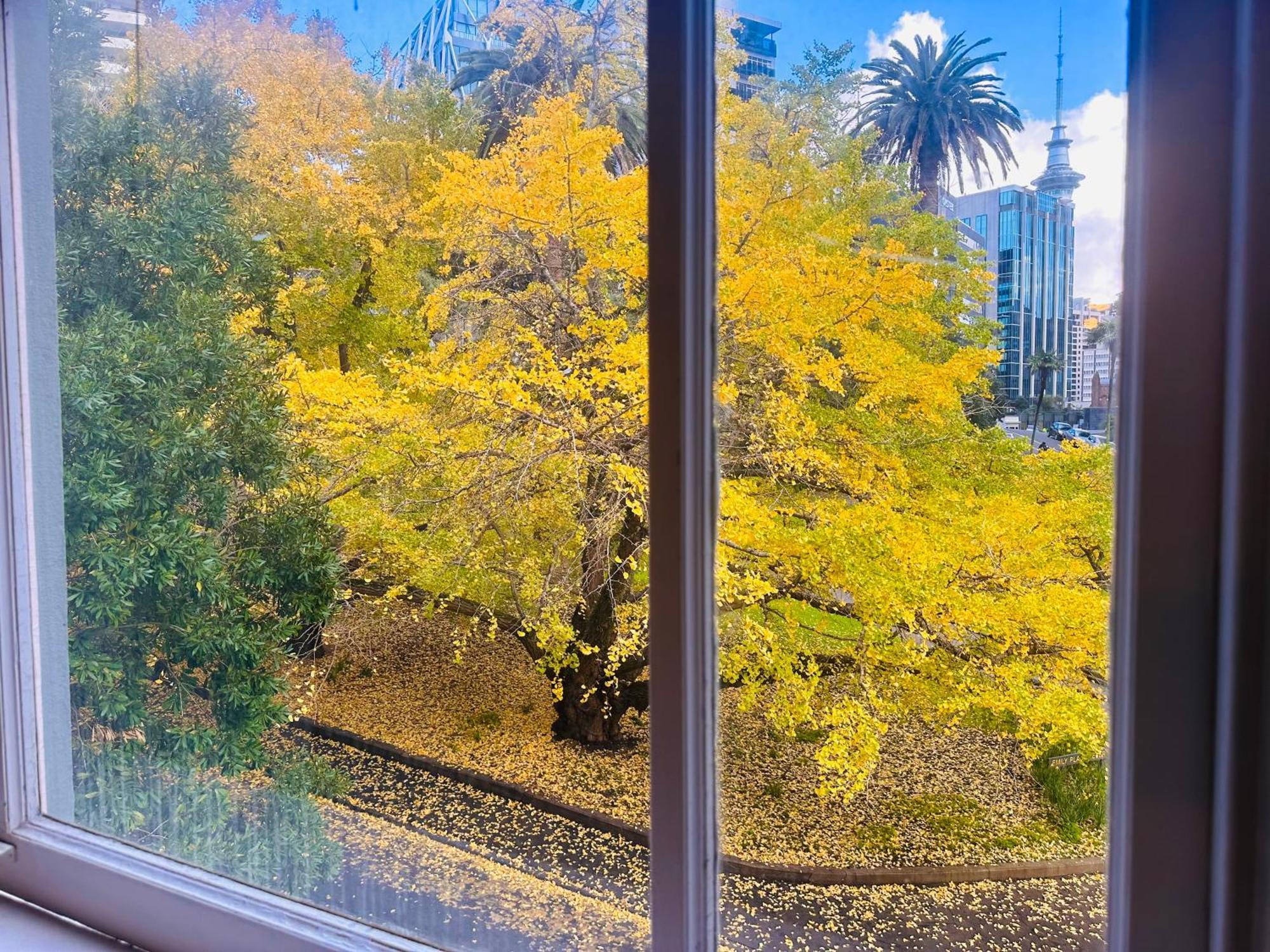 Gamma Hotel Auckland Eksteriør billede