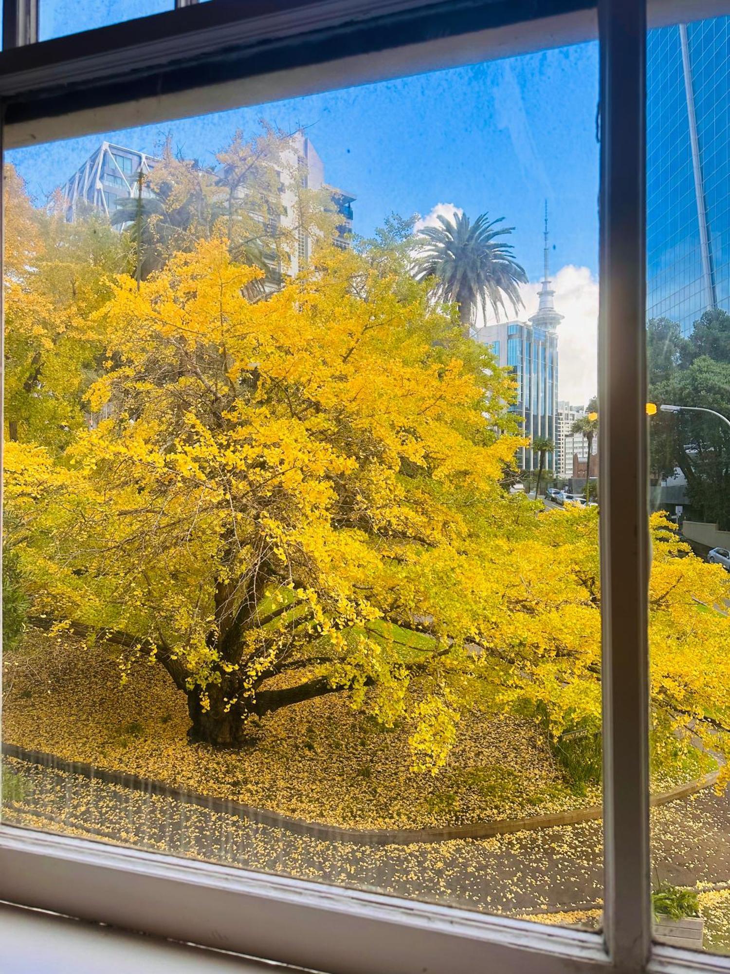 Gamma Hotel Auckland Eksteriør billede